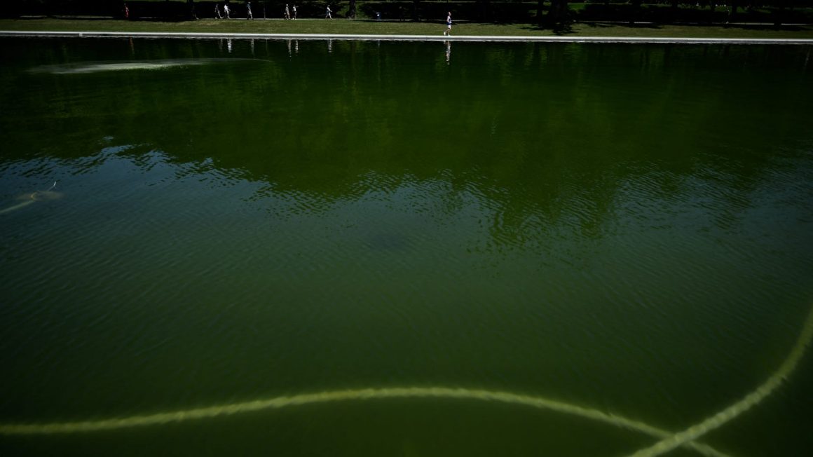 Washington, DC Renovations Spark Attention with Aerial Photo