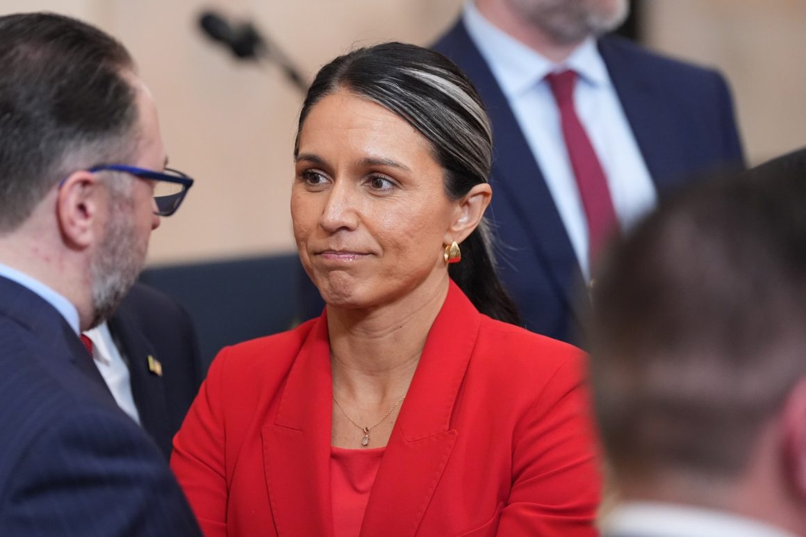Investigation Into Tulsi Gabbard’s Ties to Chris Butler Raises Questions