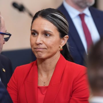 Investigation Into Tulsi Gabbard’s Ties to Chris Butler Raises Questions
