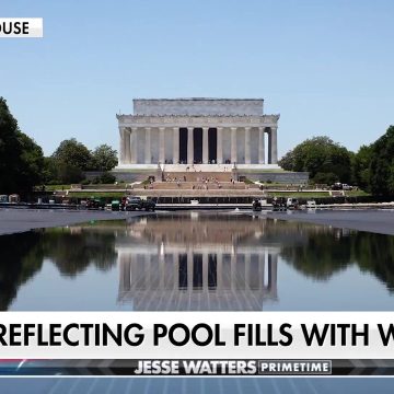 Trump Highlights Improvements in Washington D.C.