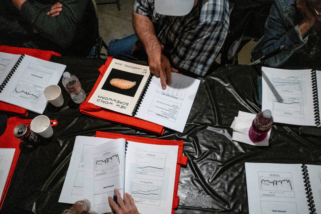 FILE PHOTO: Cattle ranchers discuss New World Screwworm threat in Texas Flesh-Eating Parasite Threatens U.S. Cattle Industry
