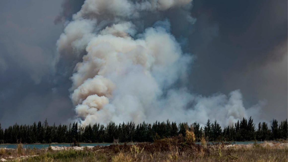 Brush Fires in Miami-Dade: Smoke, Road Closures, and Containment Efforts