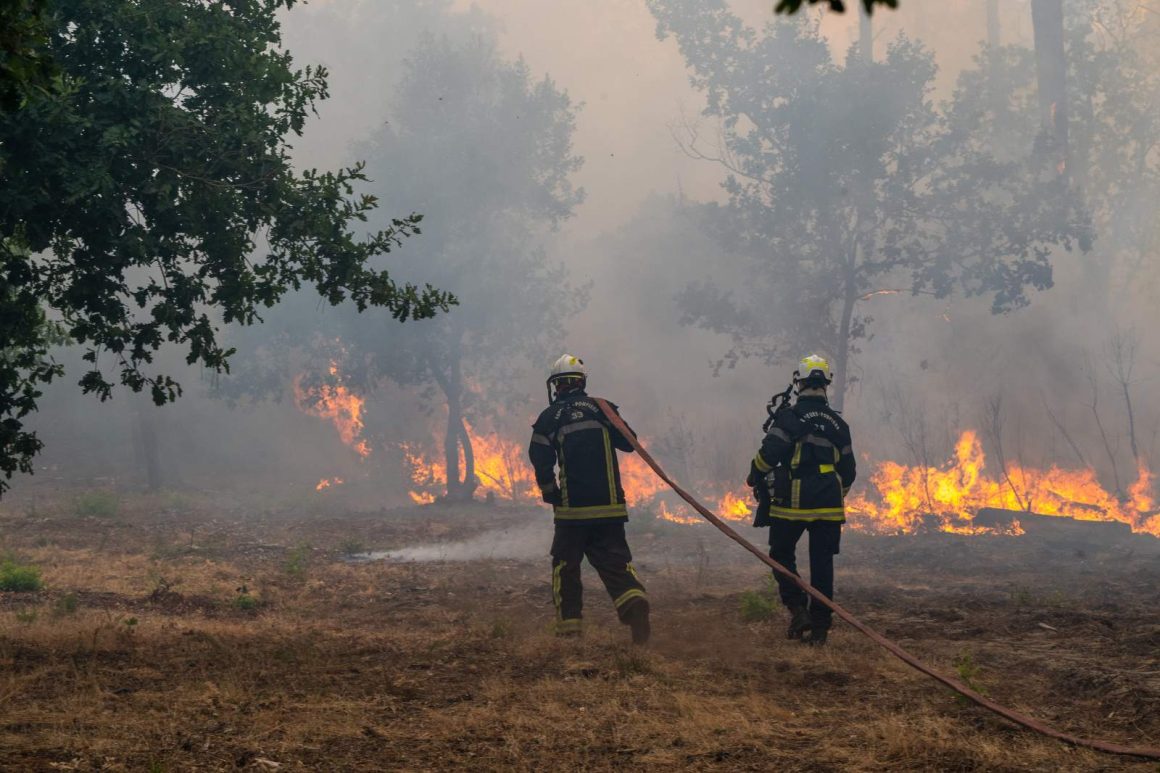 Historic Wildfires Devastate France and Spain