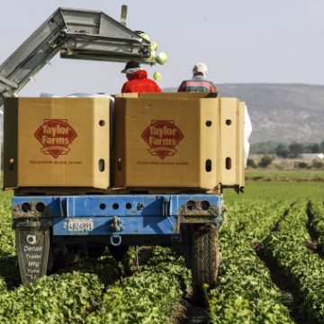 Produce Supplier Linked to Multiple Health Outbreaks
