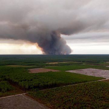 0d39c60c-5068-42dc-bdff-a12bc26a7bbe Massive Wildfire Prompts Evacuations in Southwestern France
