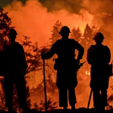 Staying Safe During Wildfire Smoke Alerts