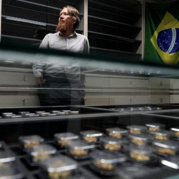 16516788-8e74-41d7-a22d-404743b172f0 Brazil Uses Forensic Science to Combat Illegal Gold Mining
