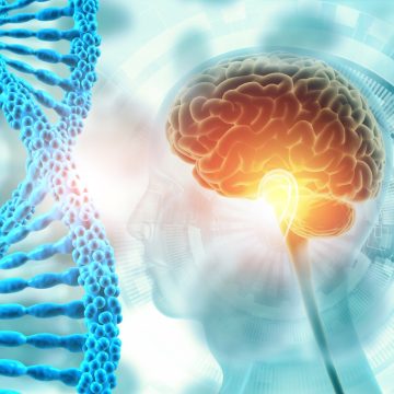 Understanding SuperAgers: A Look at Exceptional Memory in Old Age