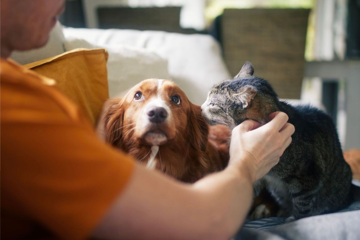 The Complex Relationship Between Pet Ownership and Health