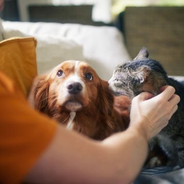 The Complex Relationship Between Pet Ownership and Health