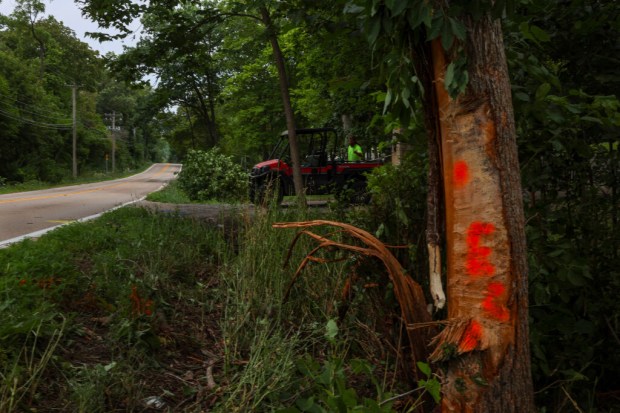 39193f3c-d885-4663-a9ca-b1c6aded9717 Fatal Rollover Crash in Barrington Hills