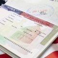 H-1B Visa Renewals Projected to Reach Record High Amid Proposed Changes