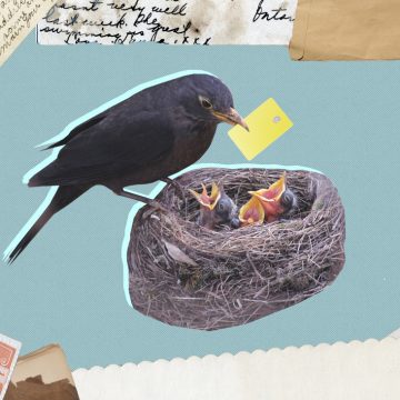 Navigating Generosity from Your Partner’s Parents