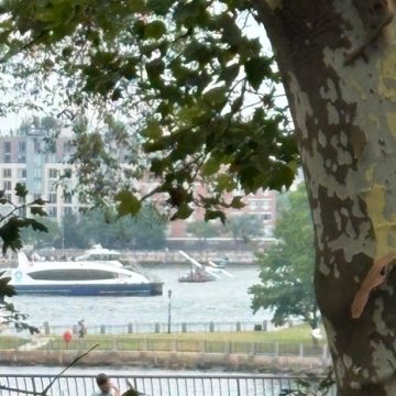 42c0f7b5-3512-4280-b6be-581dad7a0d37 Seaplane Makes Hard Landing in New York’s East River