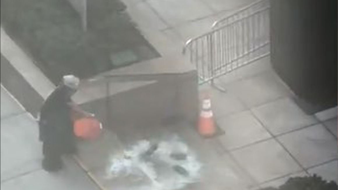 Surveillance Video Reveals Details of Federal Plaza Arson Attack