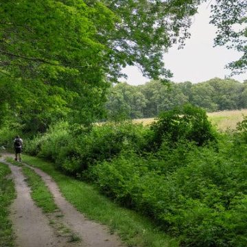 Unveiling New England’s Dual Legacy: Slavery and Abolition