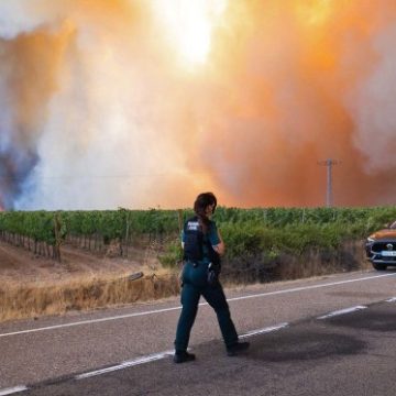 Analyzing the Impact of France and Spain’s Wildfires