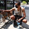 The Impact of Air Quality on Animals and Their Caretakers