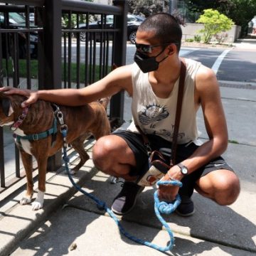 The Impact of Air Quality on Animals and Their Caretakers