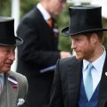 Prince Harry’s Solo Stay at Buckingham Palace During U.K. Visit