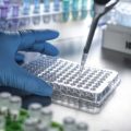 The Impact of Funding Cuts on Cancer Disparities Research