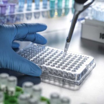 The Impact of Funding Cuts on Cancer Disparities Research