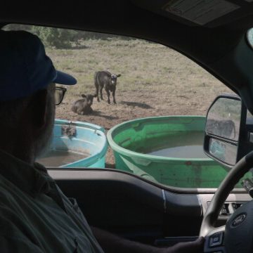 Ranchers Battle Drought and Water Scarcity in the U.S. Rockies