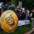 Trump Memecoin Investment Outcomes