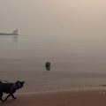 Managing Air Quality During Wildfire Smoke Events