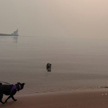 Managing Air Quality During Wildfire Smoke Events