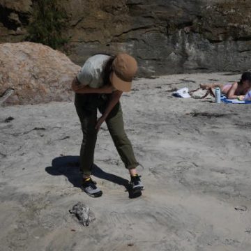 6a710e47-b331-4f74-8fa8-e5a8e2cf91d4 Impact of Marine Heat Wave on Seabirds Along the California Coast