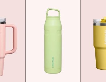 Explore Savings on Stanley Products: Top Deals You Shouldn’t Miss