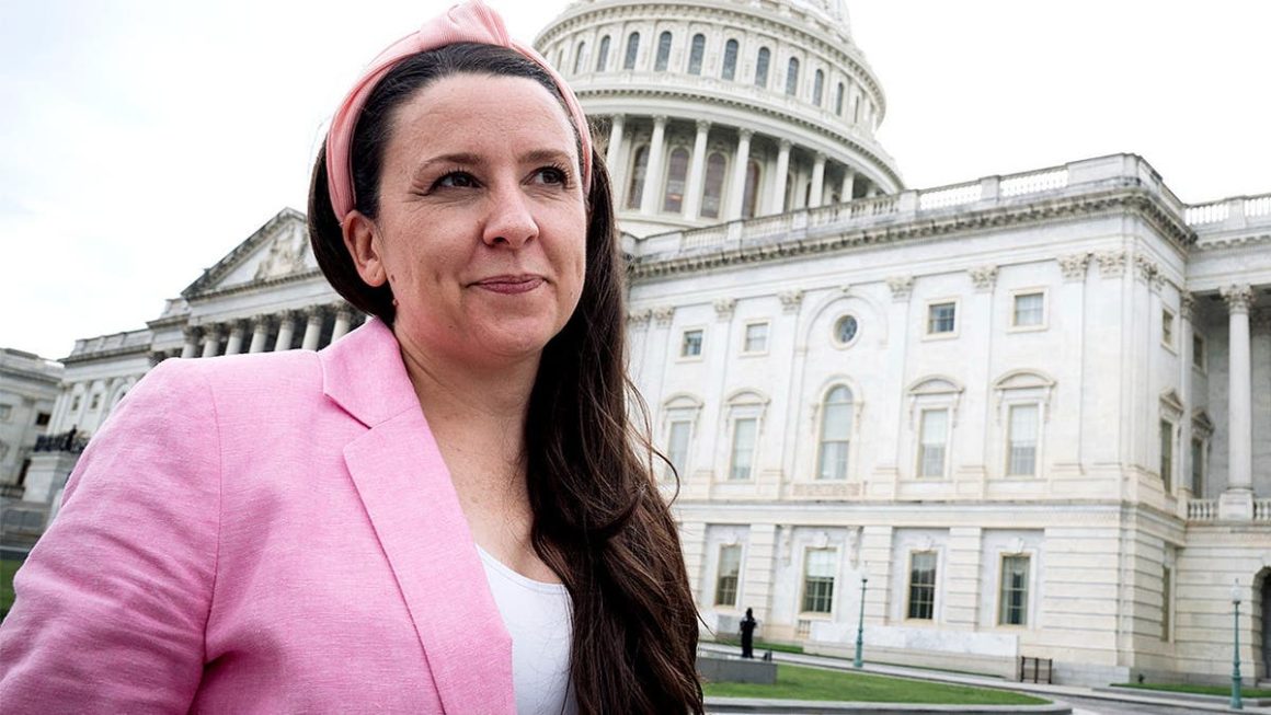 Michigan Senate Primary Sparks Division Among Democrats