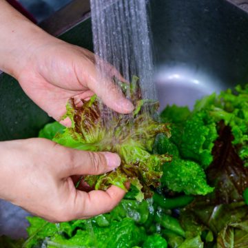 Understanding Cyclospora and Safe Produce Practices