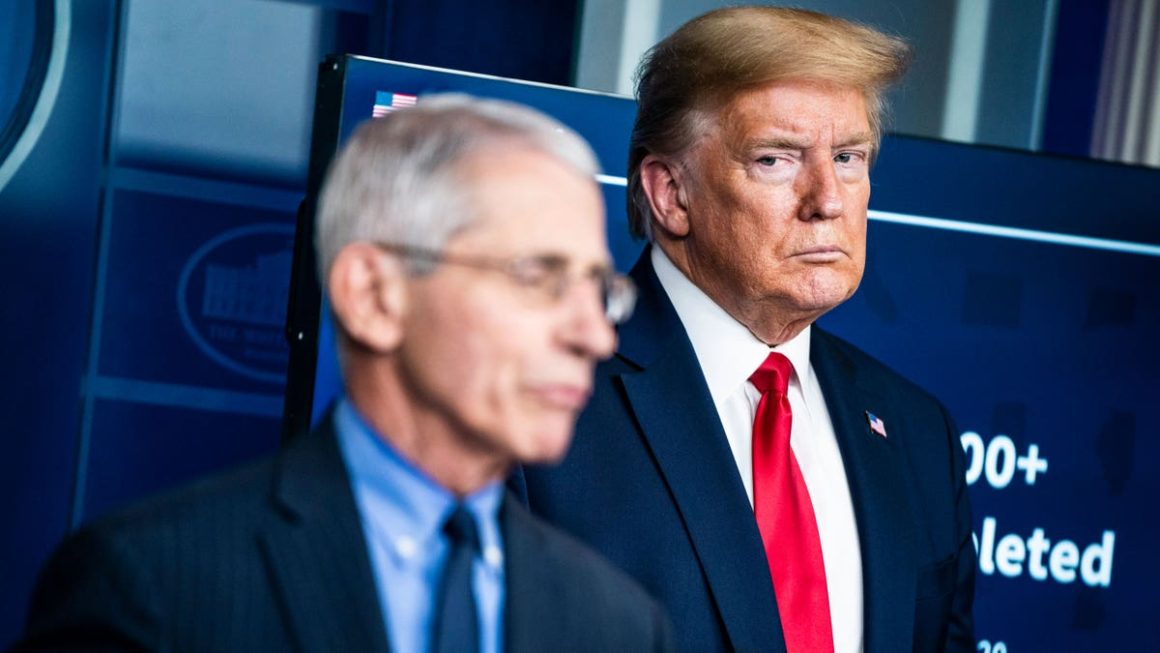 Dr. Fauci’s Diary Entries Reveal Insights During the COVID-19 Pandemic