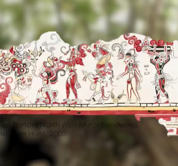 Discovery of Mayan Astronomer’s Name: White-chested Fox