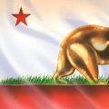 California’s Wealth Tax Proposal Sparks Debate