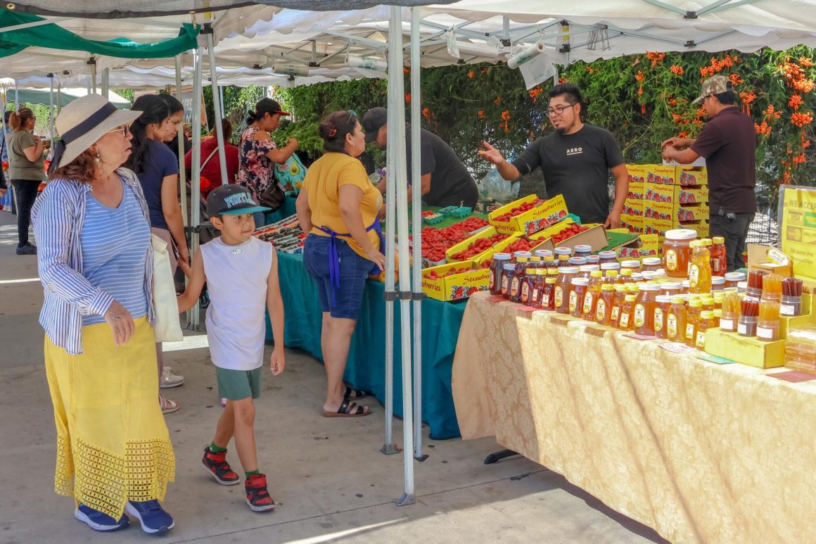 Challenges and Resilience at Central Avenue Farmers Market Amid Federal Cuts