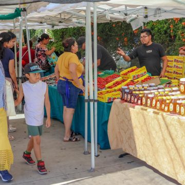 Challenges and Resilience at Central Avenue Farmers Market Amid Federal Cuts