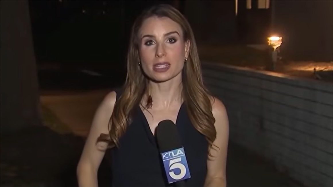 Los Angeles Reporter Maintains Composure During On-Air Cockroach Encounter