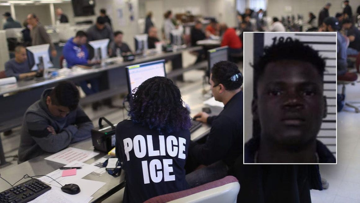DHS Opposes Release of Accused Michigan Stabber
