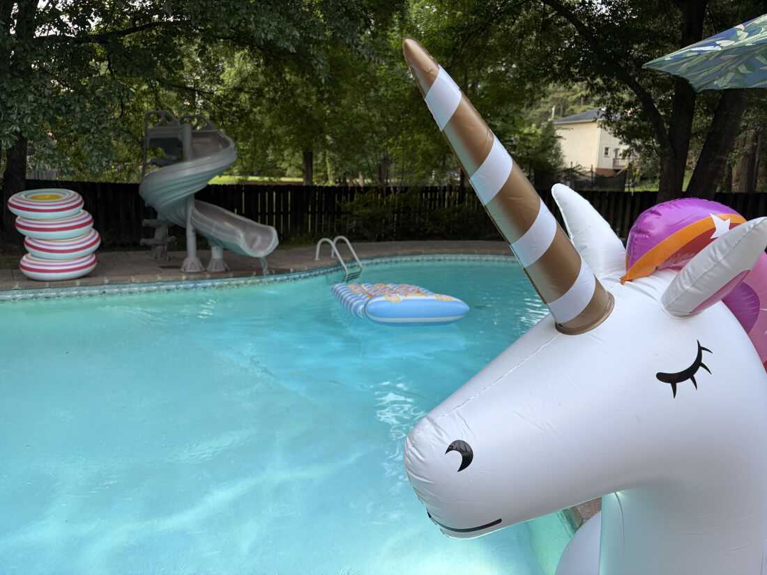 9638f735-b613-4f0c-a1c1-e0371f85ff00 Renting Pools: A Growing Trend in the Sharing Economy