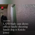 Legal and Public Scrutiny Following Canoga Park Dog Shooting