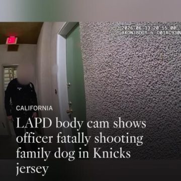 Legal and Public Scrutiny Following Canoga Park Dog Shooting