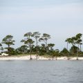 Changes in Water Conditions at Horn Island