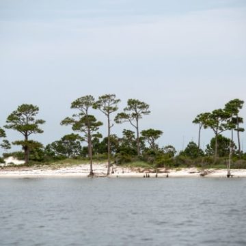 Changes in Water Conditions at Horn Island