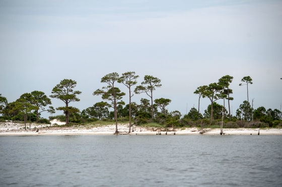 9d613ee5-90b9-4a78-82dc-b0a28f34d040 Changes in Water Conditions at Horn Island