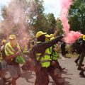 AfD Leadership Reelection Amid Protests