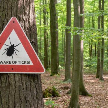 The Expanding Threat of Ticks and Lyme Disease