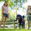 Illinois Tick Season: Earlier Start, Longer Duration, and Expanding Territory